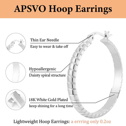 2 Pairs 18K Gold Plated Hoop Earrings for Women CZ Post Hypoallergenic Earrings Set Birthday Graduation Jewelry Gifts Her Mom Wife Girlfriend Female Lady Adults Ideas 20/30MM